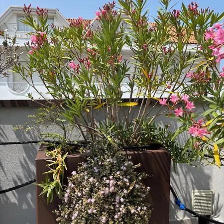 아파트 Casa Plauto Attico Senza Cucina Without Kichen