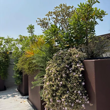 Casa Plauto Attico Senza Cucina Without Kichen 아파트 *