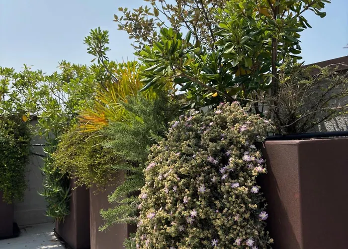 Casa Plauto Attico Senza Cucina Without Kichen Daire *